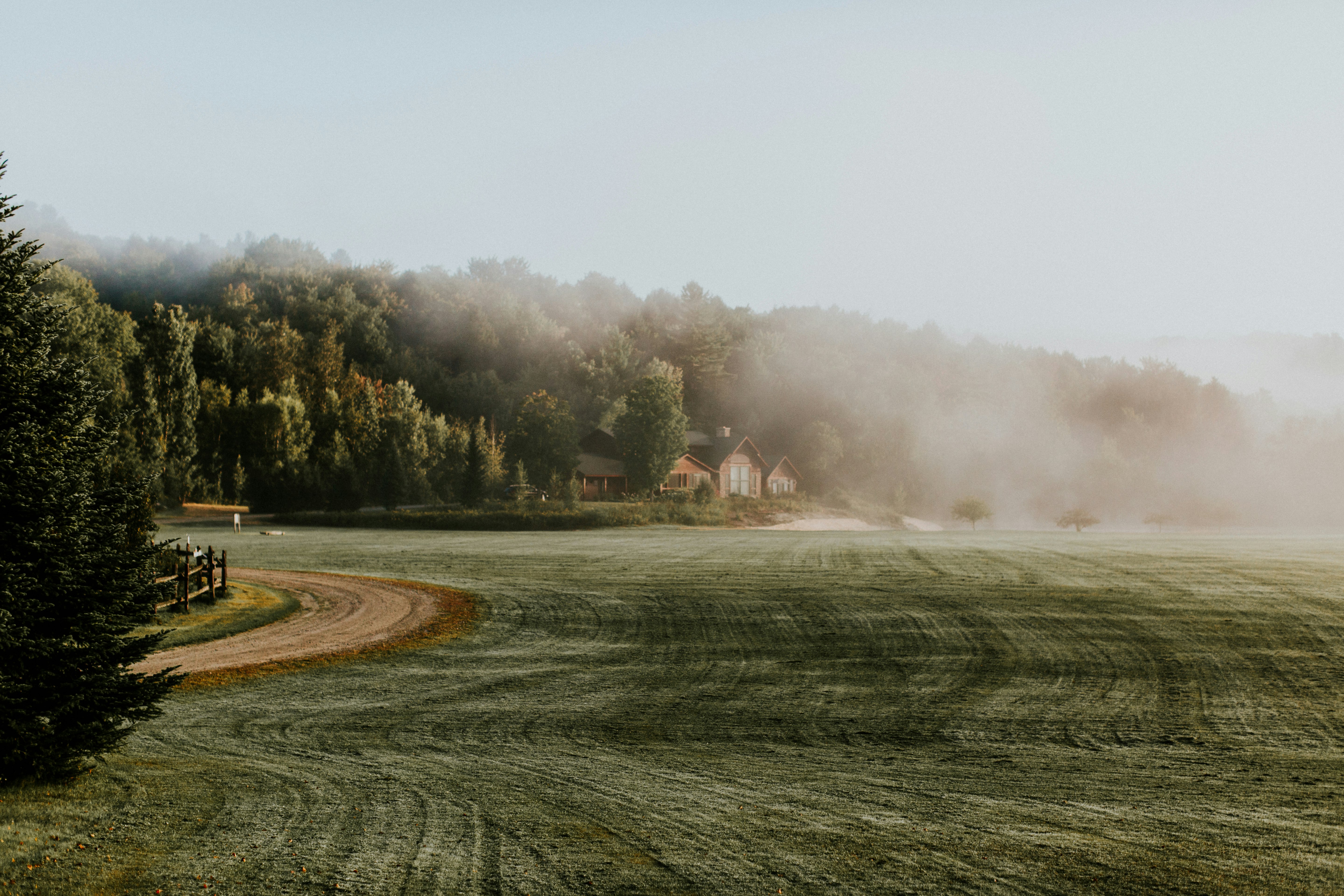 green grass field with white smoke during daytime